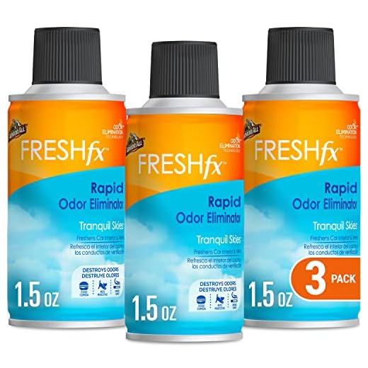 511+rapOlWL._SS520_ Best air freshener bomb for car
