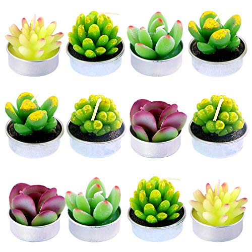 Bougies Succulente et Cactus Swpeet | Cadeau de Crémaillère et Décoration de Table - Lot de 12