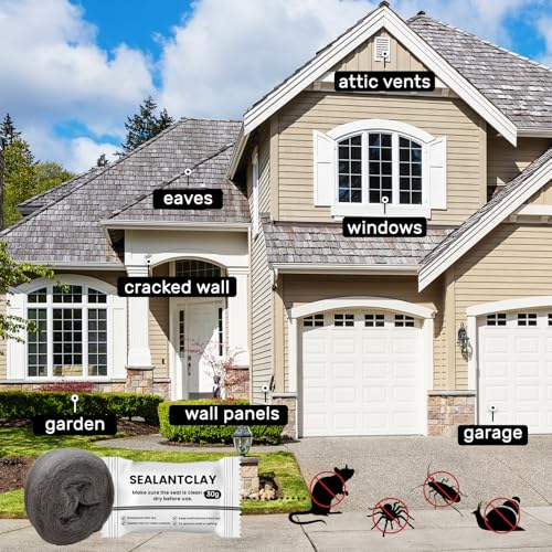 Daily Treasures 3er-Pack Mäuse Stahlwolle 0000 mit 3er-Pack 30g weißer Dichtungsschlamm,Stahlwolle Gegen Mäuse(3.1m/Rolle),Klebefallen Mäuse,Stahlschwamm für Metall Rostentfernung Chrompolitur