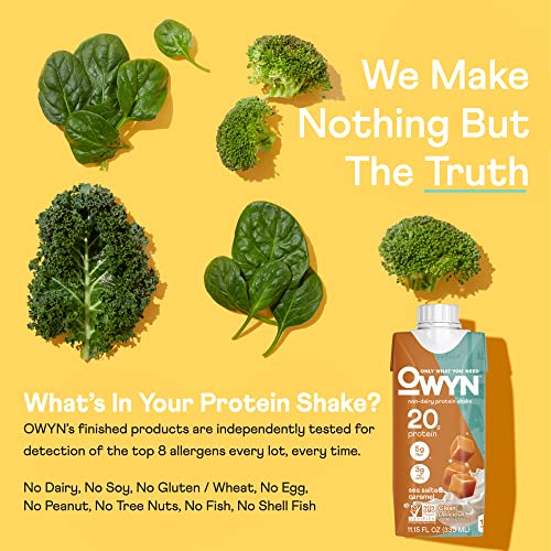 Owyn Plant Based Protein Shake, 20G Vegan Protein From Organic Pumpkin Seed, Flax, Pea Blend, Prebiotic Supplement, Superfood Greens, All-In-One Nutrition, Gluten & Soy-Free (New! Sea Salted Caramel) #TOP3