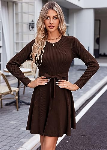 HOTOUCH Women's Fall Winter Casual Dress Crewneck Long Sleeve A-Line Sweater Dress Bodycon Ribbed Knit Dress with Belt3