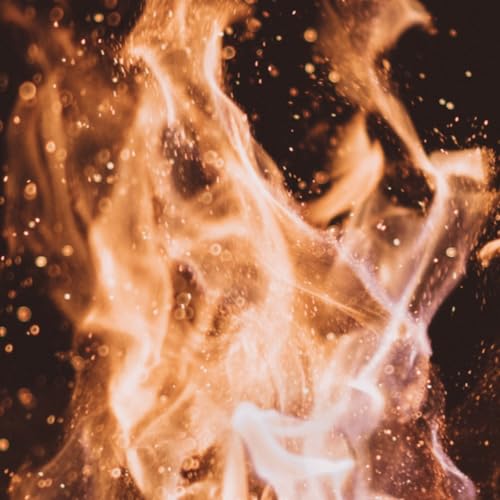 ADDBIBLE&reg; Leviticus 6 - Continual Fire for God