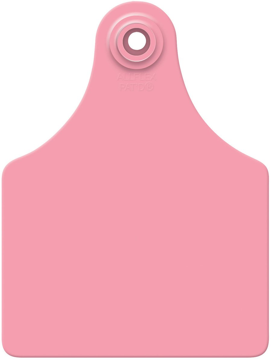 Maxi GLBL TAG PNK BLNK 25'S