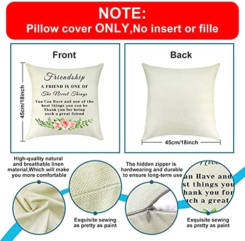 Best Friendship Gift Throw Pillow Cover Case Friend Thank You Gift Appreciation Gift Birthday Christmas Wedding Gift for Best Friend Sister BFF Linen Cushion Case for Sofa Living Room Decorative 18X18