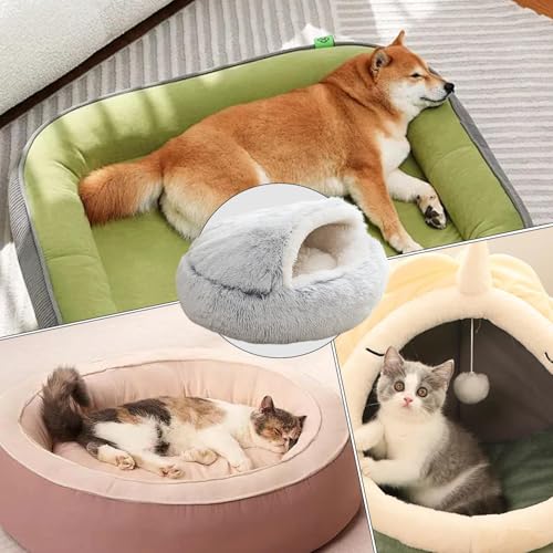Nid apaisant chat maison pour chaton et petite cachette grise