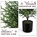 ENVEN 4FT Pre-Lit Artificial Norfolk Pine Christmas Tree – Realistic Potted Tree with 100 LED Lights & 8-Function Battery Box, Pre-Assembled Faux Holiday Décor for Indoor Use