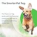 Pawscout Smarter Pet Tag Prior Version 1.0: Community Pet Tracker (Bluetooth, not GPS), Medical Profiles, Virtual Pet Leash, Walk Tracker, Pet Points of Interest