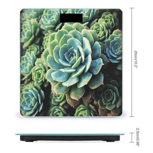 Báscula digital para baño con pantalla LCD y cinta métrica miniatura 2