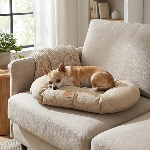 Ferplast Hundebett Hundekissen Katzenkissen Hundesofa für kleine Hunde, Katzenbett, 43 x 30 x 15 cm Waschbar Blau