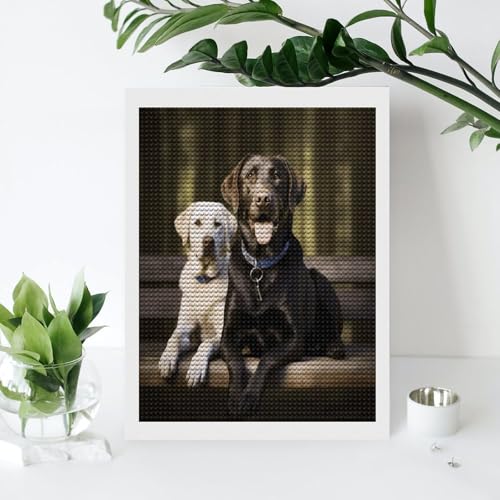 Cuadros de diamantes de Labrador VstaDank para decorar tu salón con manualidades hechas a mano 4