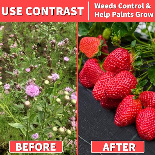 Image of 3ft x 300ft Landscape Fabric -Heavy Duty Weed Barrier Fabric for Landscaping, Weed Blocker Cloth,Geotextile Fabric for Garden, Driveway & Ground Cover, Garden Weed Mats,Grid Design