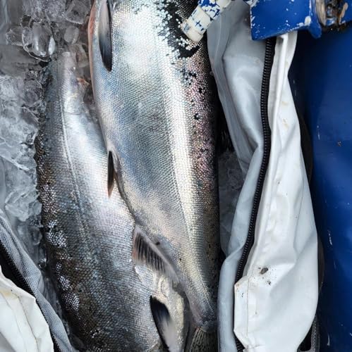 Buffalo Gear 72in Fish Kill Bag