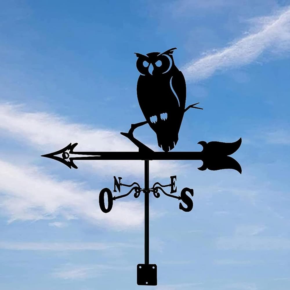 Segnavento professionale a banderuola con indicatore di direzione del vento con rivestimento antiruggine Segnavento per giardino, fattoria, cortile, viaggiatore