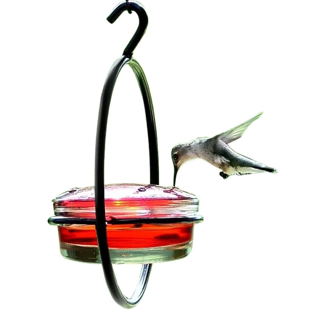 Comedero for Bebedero de colibrí, comedero for pájaros, a Prueba de Hormigas y Abejas