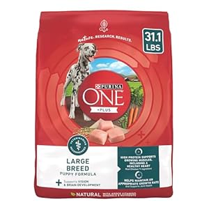 Purina ONE Plus Large Breed Puppy Food Dry Formula 311 lb Bag