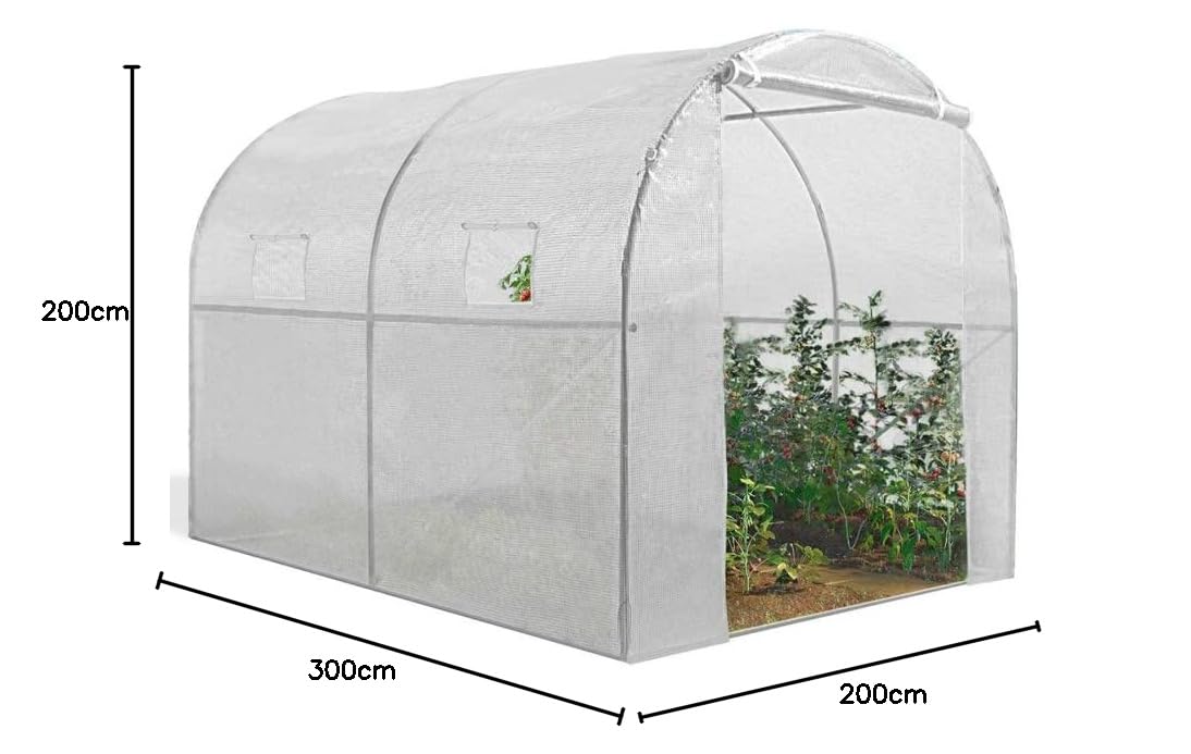 IDMarket - Serre Tunnel de Jardin 4 Saisons 6M² Blanche Gamme maraîchère Roma 2x3M