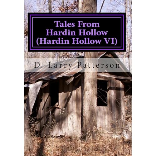 Tales From Hardin Hollow Audiolibro Por D. Larry Patterson arte de portada
