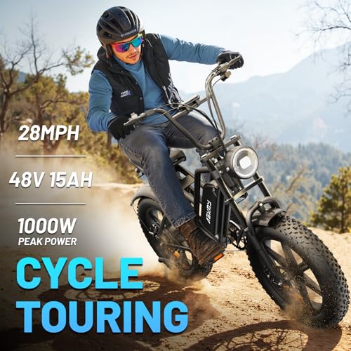 RPINT Electric Mountain Bike with 1500W Peak Motor Ebike, 28MPH and 40-60 Miles PAS Range, Electric Bicycles with 48V 15Ah Removable Battery, 20" Fat Tire Dirt E Bike for All-Terrain