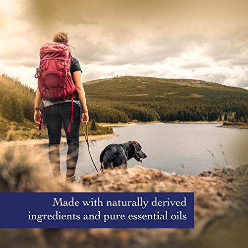 Richard’s Organics Flea and Tick Shampoo for Dogs 100 AllNatural Actives Kills Fleas, Ticks