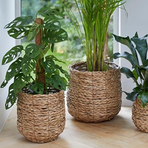 Gardenesque Woven Plant Pot | Wicker Storage Basket Indoor Planter | Flower Pot Holder for Indoor Home Decor | 3 Sizes (Small: 18cm x 21cm)