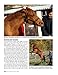 The Original Horse Bible: The Definitive Source for All Things Horse (CompanionHouse Books) 175 Breed Profiles, Training Tips, Riding Insights, Competitive Activities, Grooming, and Health Remedies