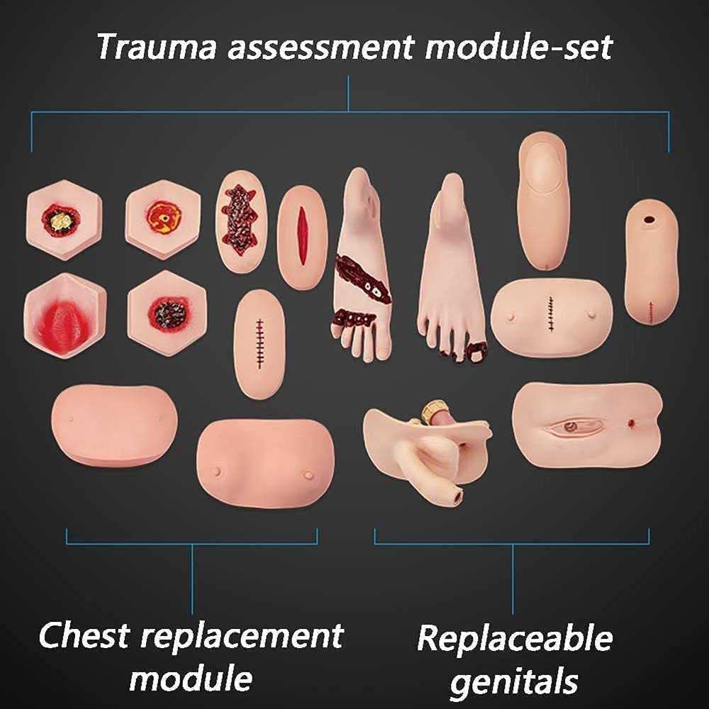 Demonstrations-Trainingspuppe, 170 cm, Lebensgroß, Ganzkörperpflege-Patientensimulator, Menschliches Modell Für Schulung, Unterricht Und Bildungsbedarf