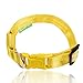 ILLUMISEEN LED Dog Collar USB Rechargeable - Bright & High Visibility Lighted Glow Collar for Pet Night Walking - Weatherproof, in 6 Colors & 6 Sizes (Yellow Small)