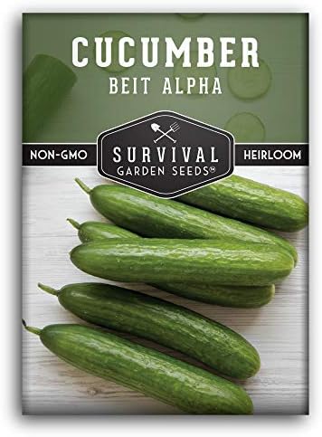 Survival Garden Seeds - Beit Alpha Cucumber Seed for Planting - Pack with Instructions to Plant and Grow Smooth Green Burpless Cucumbers in Your Home Vegetable Garden - Non-GMO Heirloom Variety
