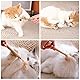 vsshe Katzenminze Sticks,6 Stück Matatabi Katzensticks Katzenminzen Spielzeug Matatabi Stick Katzen Sticks Katzenminze Zähne Reinigung Dental Katzenspielzeug für Katzen Zahnpflege Natürlich Sicher