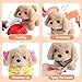 Imagen de Rtomry Perrito Juguete Que Ladra y Anda
