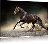 Zu jedem Bild erhalten Sie eine kostenlose Wandaufhängung. Diese Metall -Zackenaufhänger können Sie einfach an den Holzrahmen montieren. Vormarkierte Punkte erleichtern die Positionierung. So können sie Ihr neues Leinwandbild schnell an der Wand aufhängen und genießen. Wir liefern alle Produkte innerhalb Deutschlands in 2-3 Arbeitstagen. Das Bild wird sicher in Luftpolsterfolie verpackt und rotem Warnklebeband markiert, um den optimalen Schutz auf dem Versandweg zu bieten.