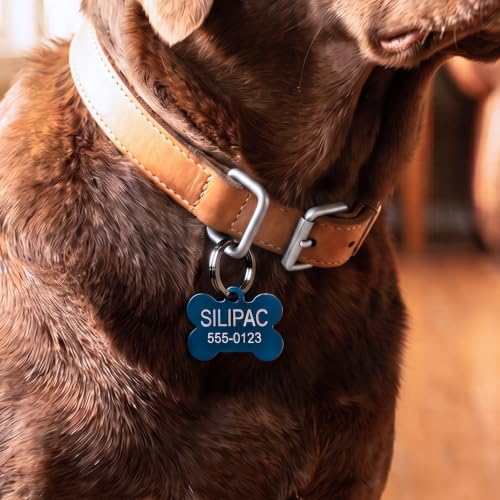Image of Heavy Duty Dog Tag & Key Rings 30mm 10 Pack - Nickel-Plated Iron Split Rings for Pet ID, Keys, Crafts & Lanyards