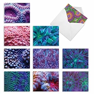 Box of 10 ‘Under the Sea’ Thank You Note Cards (Mini 4″ x 5 ¼”), Assorted Colorful Sea Anemone Greeting Cards with Envelopes, All Occasion Stationery for Weddings, Baby Showers, and Birthdays #M2103