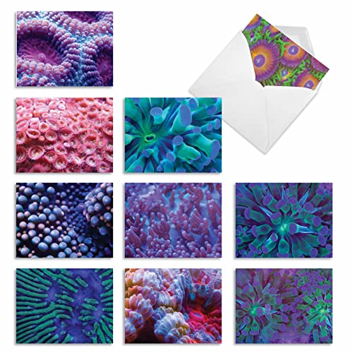 Box of 10 ‘Under the Sea’ Thank You Note Cards (Mini 4″ x 5 ¼”), Assorted Colorful Sea Anemone Greeting Cards with Envelopes, All Occasion Stationery for Weddings, Baby Showers, and Birthdays #M2103