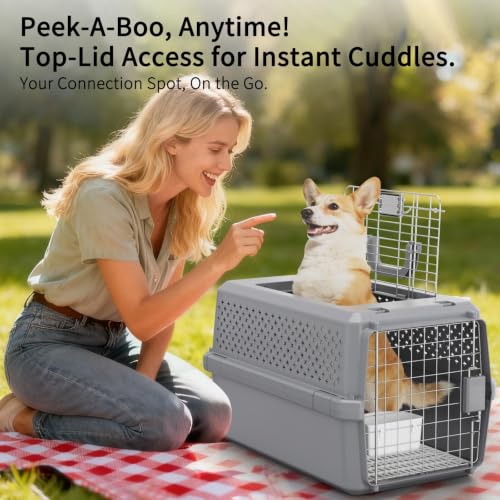 RIZZARI Hard-Sided Pet Carrier: Portable Travel Crate for Medium Pets by RIZZARI - Image 6