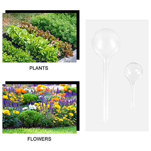 Yardwe Planta Lâmpada Globo de Rega Automático Planta Waterer Rega Spikes De Plástico Transparente L