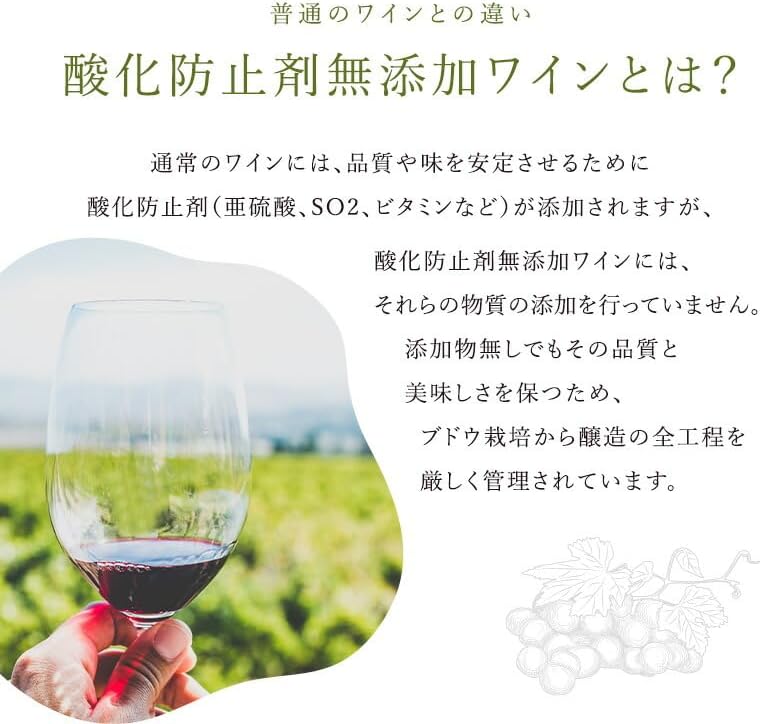 お試し 酸化防止剤無添加ワイン ピッツォラート 赤ワイン 3本 セット［冷蔵のみ］【1～2営業日以内に出荷】 [W]