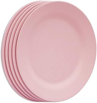 11 Inch Dinner Plate Set, Lightweight Wheat Straw Plates, 5 Pieces, Pink