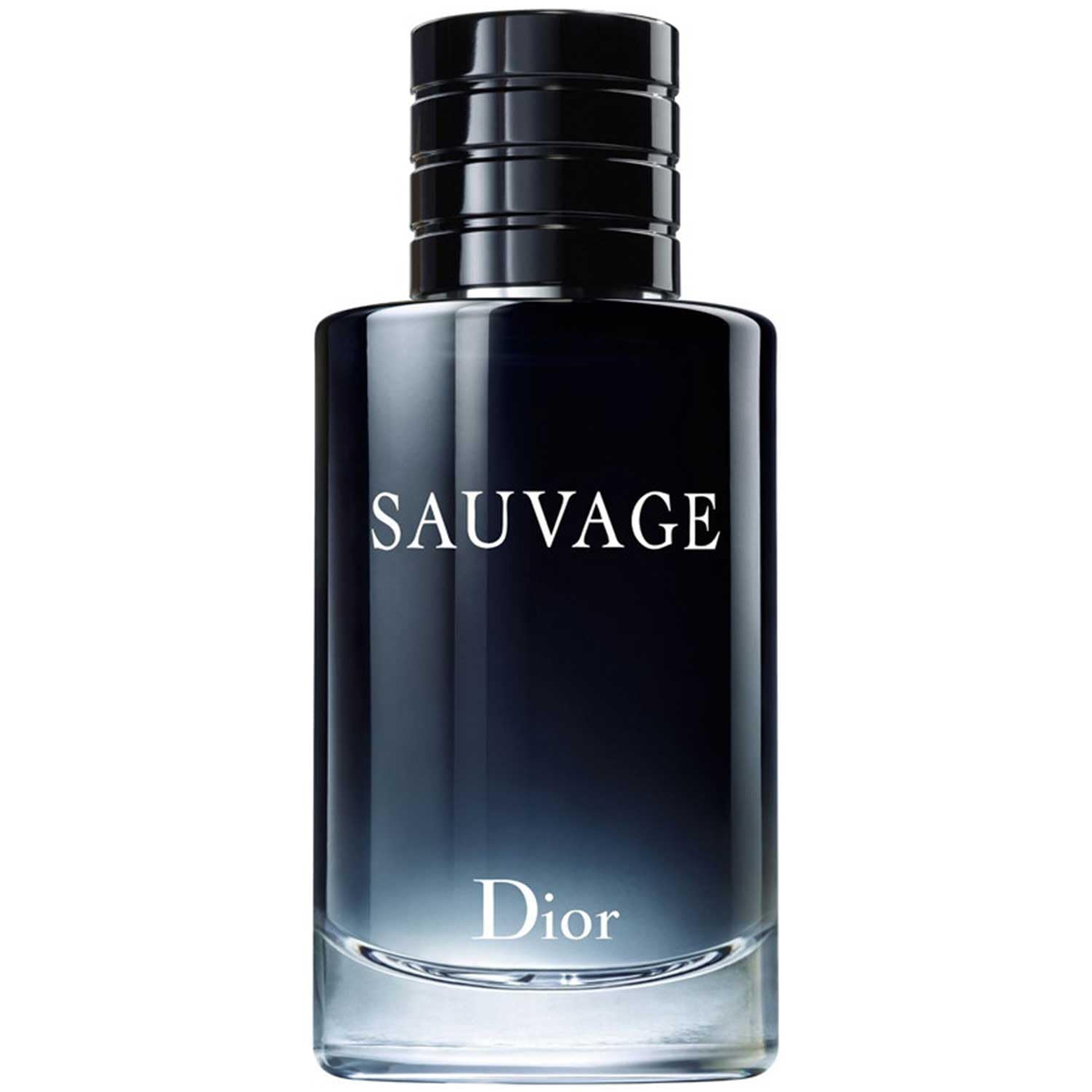 Skyways Sior Sauvag 100ml Men