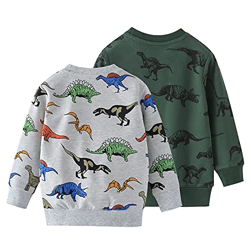 Aqeacarmon Baby Boys Dinosaurs Round Neck Cotton Long Sleeve Pullover Sweatshirt (Dinosaur + Green Dinosaur, 5-6Years) #TOP1