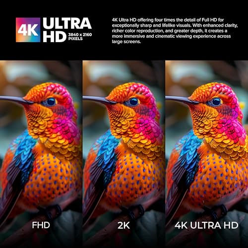 Image of VW 165 cm (65 inches) Pro Series 4K Ultra HD Smart QLED Google TV VW65GQ2