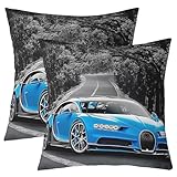 ★ El paquete incluye: 2 fundas de almohada de doble cara de 20 x 20 pulgadas, con cremallera. Relleno de almohada no incluido.