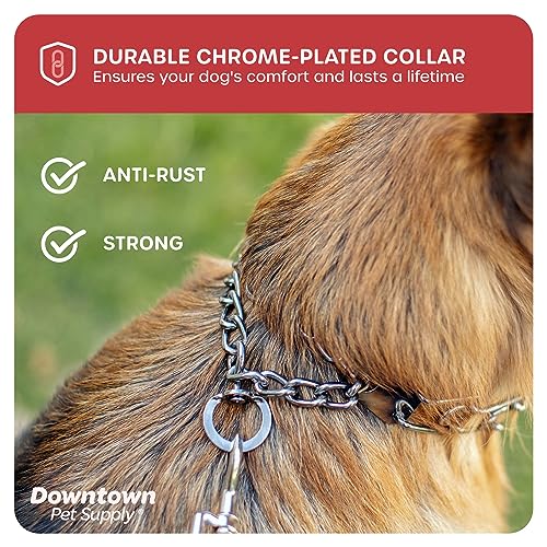 Downtown Pet Supply Chrome Plated Prong Collar for Dogs, Medium - Adjustable, No-Choke and No Pull Dog Collar with Removable Links - Pinch Collar for Dogs 20-40 lbs and 20\" Neck Width - Thumbnail 5