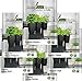 Herb Seeds – 100% USDA Organic, Non GMO Variety Seed Pack – Product of U.S.A. Packaging & Materials Designed for Home Cooks & Beginners - Include: Basil, Cilantro, Oregano, Parsley, Thyme, Sage