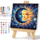 Framed Paint by Numbers Kit...
