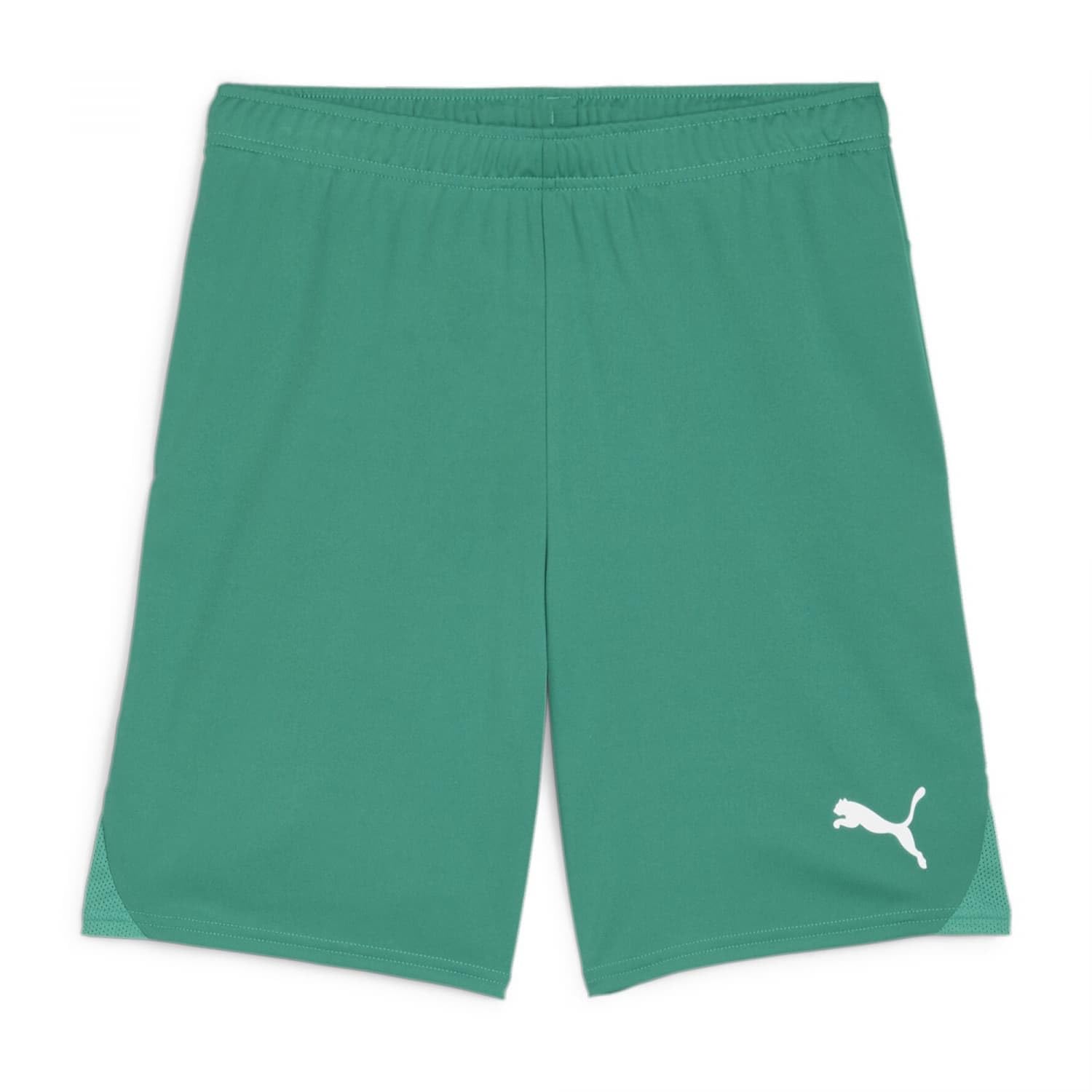 Puma Unisex Gestrickte Shorts Teamgoal Shorts Jr