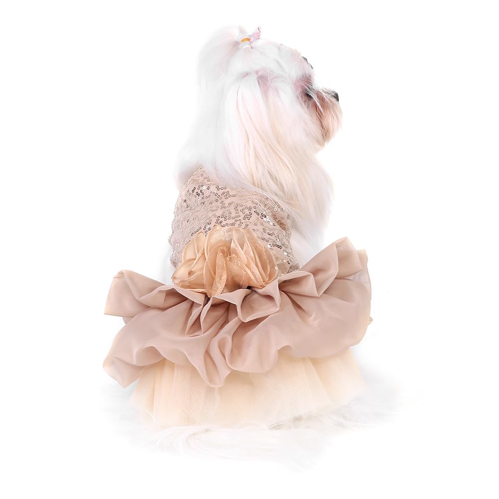 slim fit dress slacks Glitter Dog Dress Rose Gold main image 0
