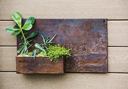 Evergreen Garden Rust Dunes Rectangular Metal Wall Planter - 19”L x 3.5”W x 11.5”H - Thumbnail 2