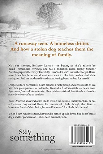 Say Something (The Faderville Novels) - Image 2