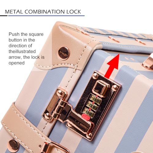 Apelila 2 Piece Vintage Luggage Set PU Leather Luggage with Spinner Wheels, Lightweight Suitcase for Travel( 20"+12")